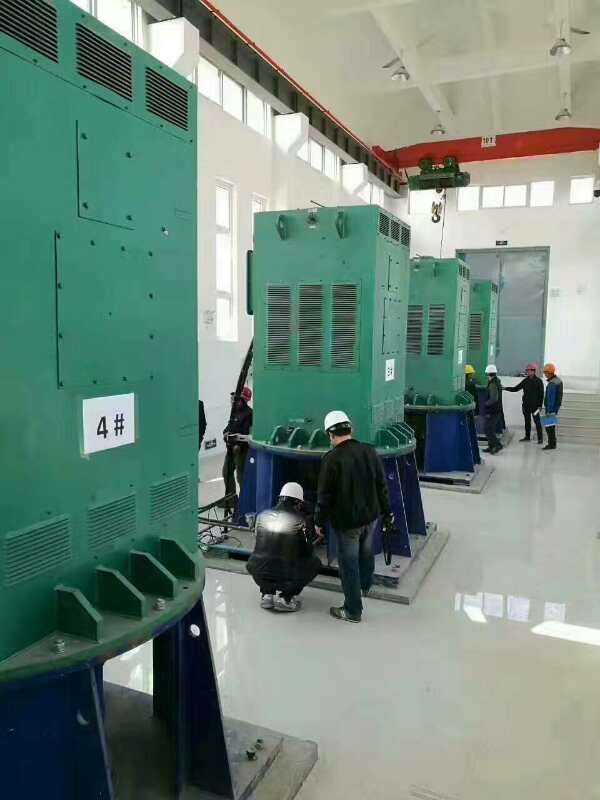 凤泉某污水处理厂使用我厂的立式高压电机安装现场